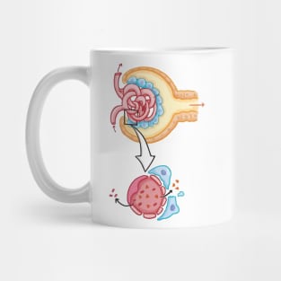 Bowman's capsule Nephron Kidney Glomerulus Mug